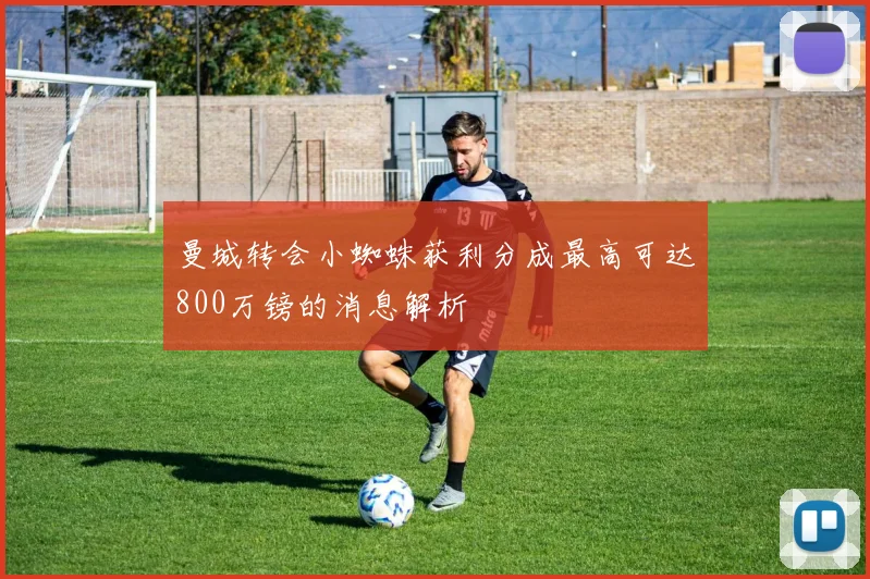 曼城转会小蜘蛛获利分成最高可达800万镑的消息解析
