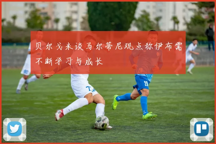 贝尔戈米谈马尔蒂尼观点称伊布需不断学习与成长